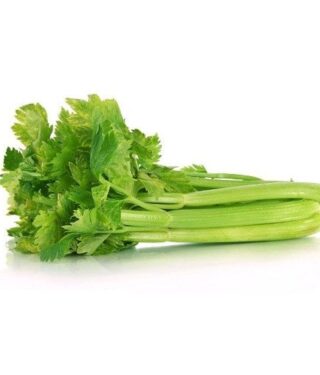 apio-rotulado